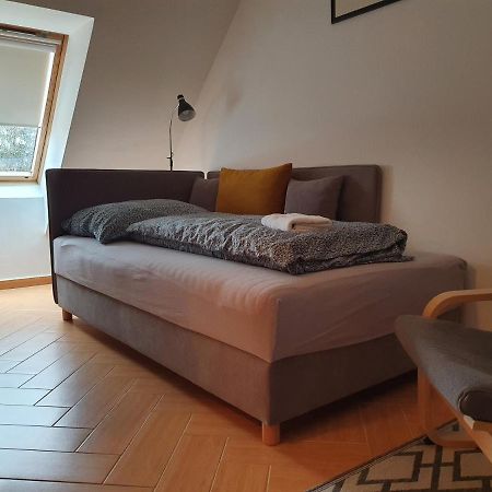 Enjoy 110Qm Apartment Im Historischen Zentrum Шопрон Экстерьер фото