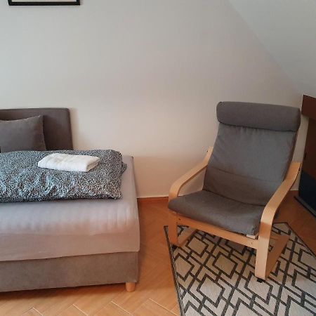 Enjoy 110Qm Apartment Im Historischen Zentrum Шопрон Экстерьер фото