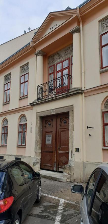 Enjoy 110Qm Apartment Im Historischen Zentrum Шопрон Экстерьер фото