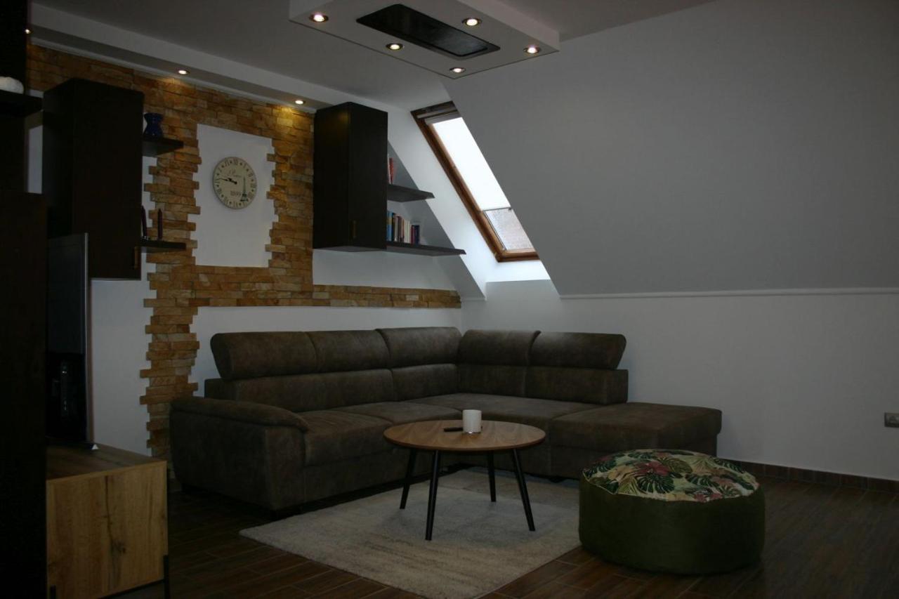 Enjoy 110Qm Apartment Im Historischen Zentrum Шопрон Экстерьер фото